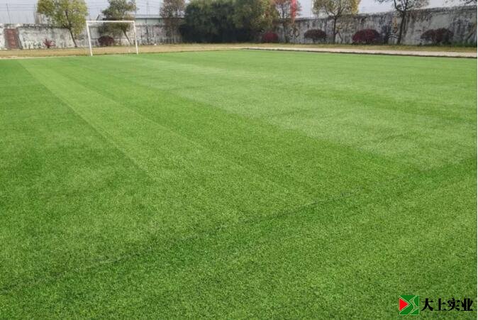 人工草坪足球場(chǎng)