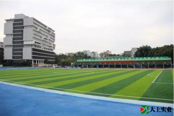 藍(lán)色塑膠跑道與綠色足球場(chǎng)