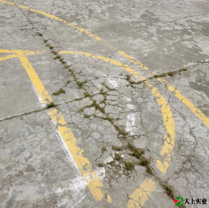 籃球場地面已開裂，并長出雜草。