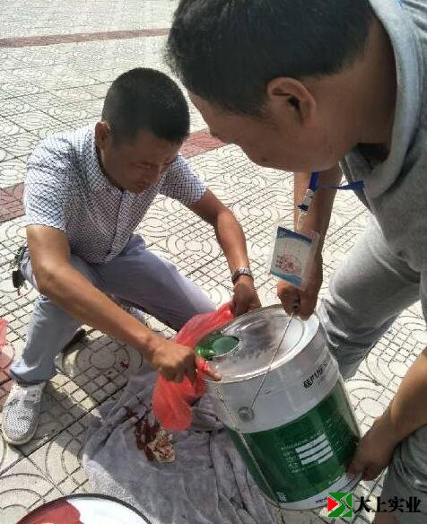 塑膠跑道綠色面漆取樣檢測(cè)