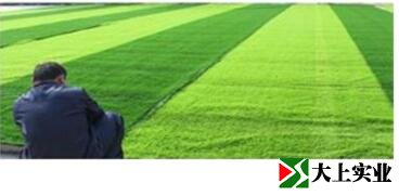 人造草足球場(chǎng)施工