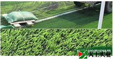 人造草足球場(chǎng)施工