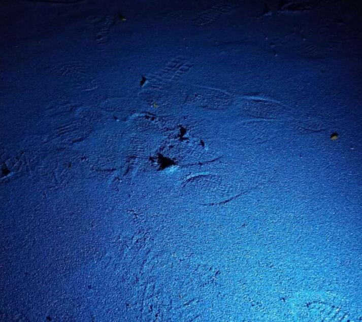 可惡！公園的塑膠跑道施工遭遇不文明行為人