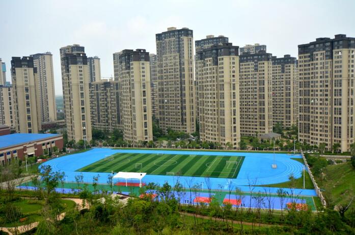 大上實業(yè)藍(lán)色塑膠跑道項目