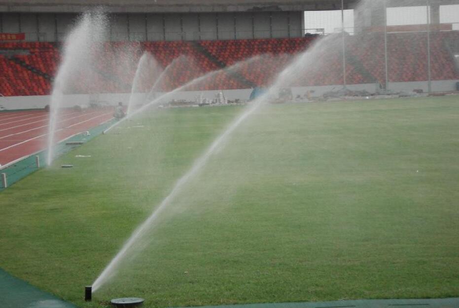 足球場天然草養(yǎng)護(hù)