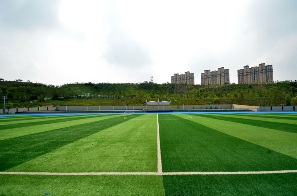 人造草足球場(chǎng)